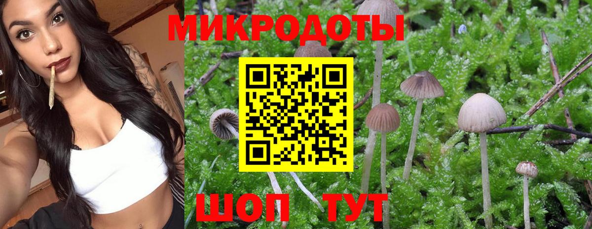 АМФЕТАМИН Кинель
